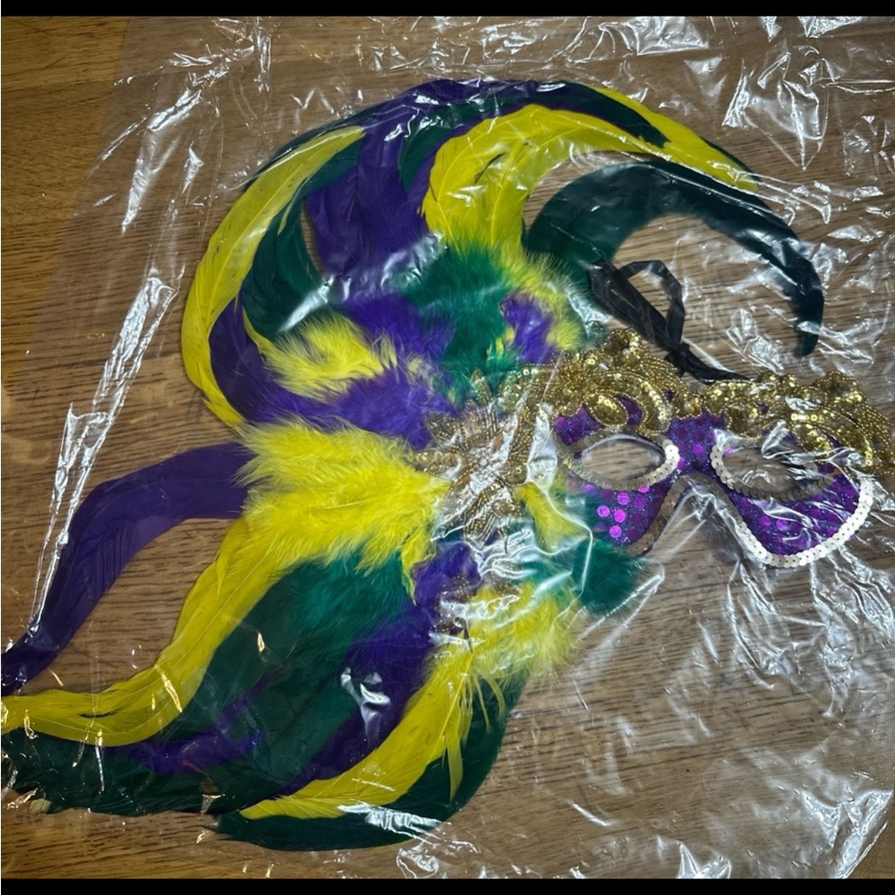 Colorful Feathered Masquerade Mask